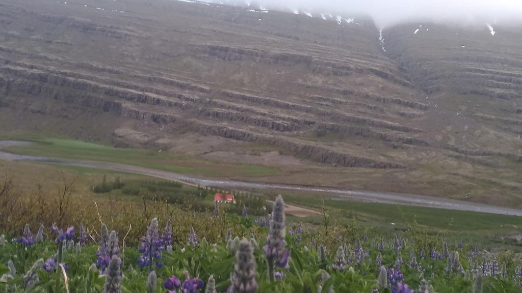 Fossardalur Guesthouse ดูปิวอเกอร์ ภายนอก รูปภาพ